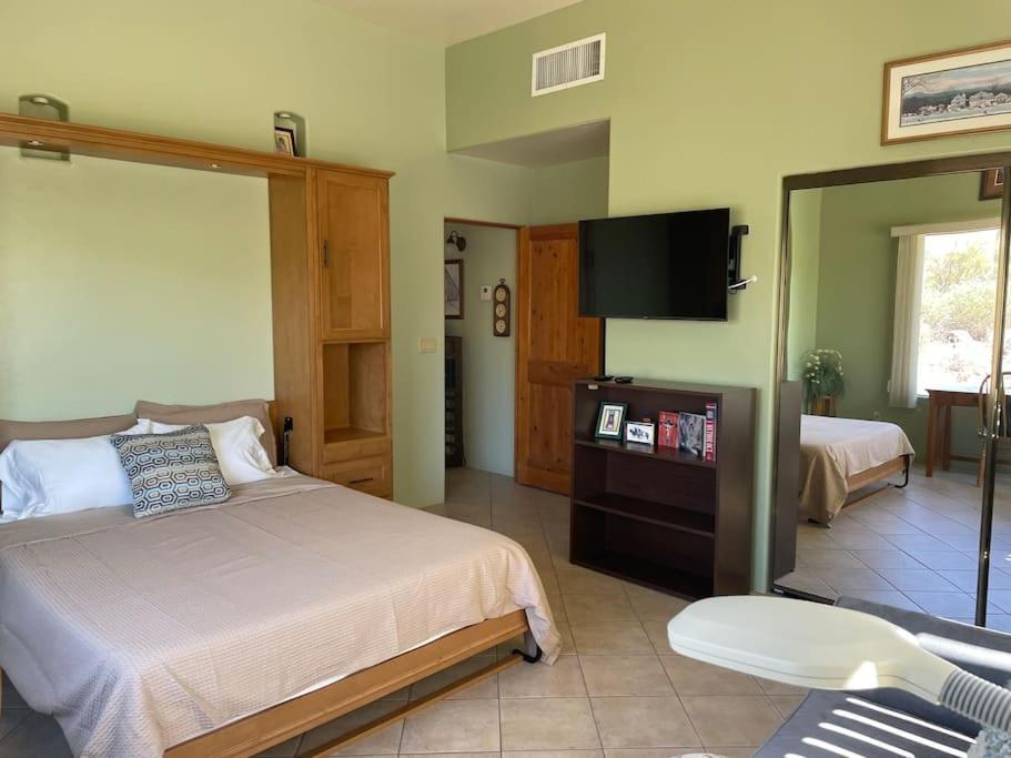فيلا Tucson Mnt Foothills Saguaro Bliss المظهر الخارجي الصورة