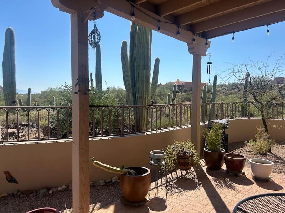 فيلا Tucson Mnt Foothills Saguaro Bliss المظهر الخارجي الصورة